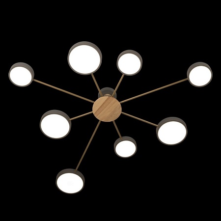 10316/8 Grey Потолочный светильник LOFT IT Sunrise - фото