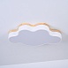 Потолочный Светильник Cloud Eco D50 White Imperiumloft 189500-26 - фото