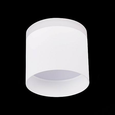 Светильник потолочный Белый LED 1*12W 4000K 936Lm Ra>80 120° IP20 D100xH90 170-240V ST102.542.12 - фото