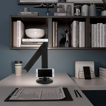 Настольный светильник Eurosvet 80428/1 черный - фото