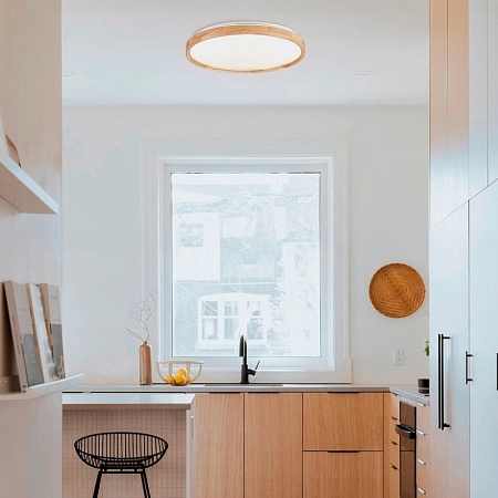 Светильник потолочный Белый, Светлое дерево/Белый LED 1*40W 3000K/4000K/6000K SLE201352-01 - фото