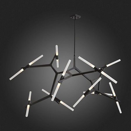 Люстра потолочная ST-Luce Черный/Белый G9 20*5W SL947.402.20 - фото