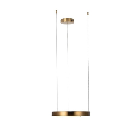 10013S Подвесной светильник LOFT IT Ring - фото