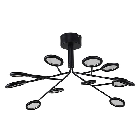 Подвесная/потолочная люстра F-Promo 4252-12P - фото