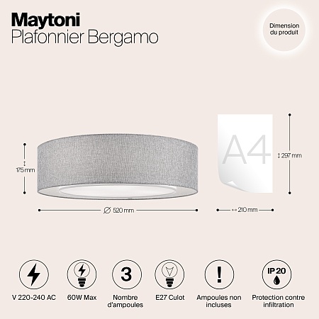 Потолочный светильник Maytoni Bergamo MOD613CL-04GR - фото