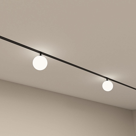 Светильник на шине Denkirs SMART MOON DK8050-BK - фото