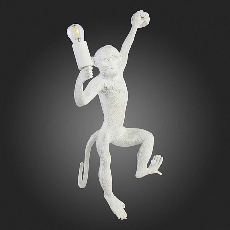 Светильник настенный Белый E27 1*60W SLE115111-01 - фото