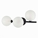 Бра ST-Luce Черный/Белый G9 3*5W SL1184.411.03 - фото