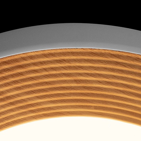 10255/500 White Потолочный светильник LOFT IT Folk - фото