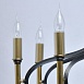 Люстра  ирида Chiaro  445011008 - фото
