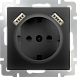 Розетка с заземлением, шторками и USBх2 черный матовый WL08-SKGS-USBx2-IP20 - фото