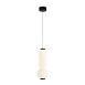 Подвесной светильник Freya Awards FR6140PL-L12B1 - фото
