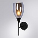 Бра Arte Lamp BARRY A7951AP-1BK - фото