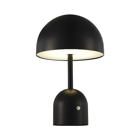 Прикроватная лампа Черный/Черный LED 1*3W 3000-6000K SLE1806-404-01 - фото