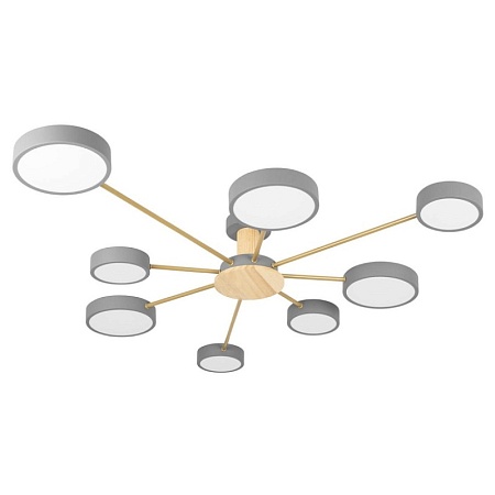 10316/8 Grey Потолочный светильник LOFT IT Sunrise - фото