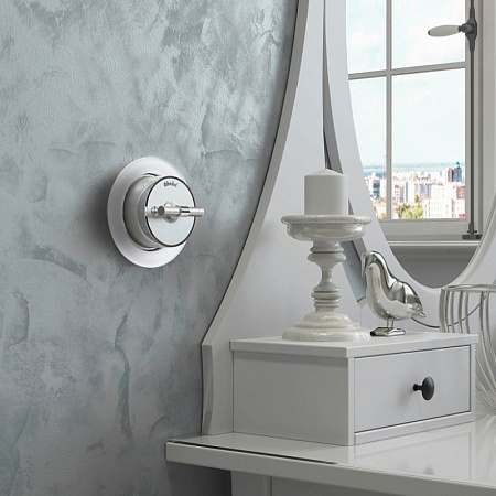 Переключатель/выключатель одноклавишный Vintage серебро матовый/хром W5812054 - фото