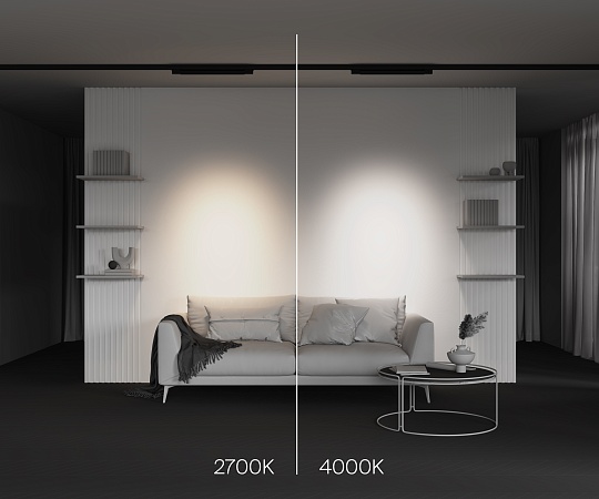 Трековый светильник Technical Points  TR195-3-20W4K-M-B - фото