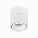 Светильник потолочный Белый LED 1*12W 3000K 1 000Lm Ra>90 36° IP20 D100xH105 170-240V ST652.532.12 - фото