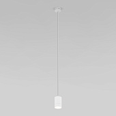Подвесной акцентный светильник Eurosvet 50248/1 LED/ белый