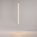 Подвесной светильник Technical Ray P022PL-L20G3K - фото