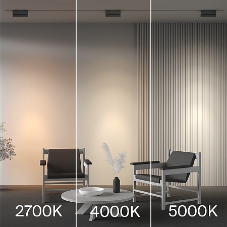 Трековый светильник Technical TR223-1-12WCCT-W-B - фото