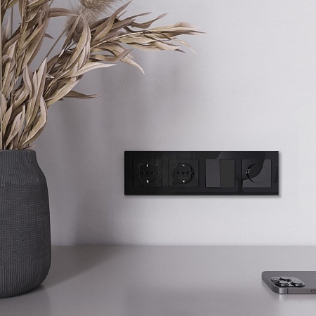 Диммер (черный акрил) W1142048 - фото