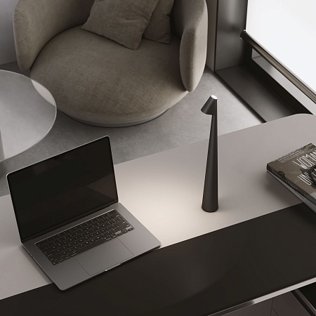 Светильник светодиодный настольный Elite черный TL70250 Elektrostandard - фото