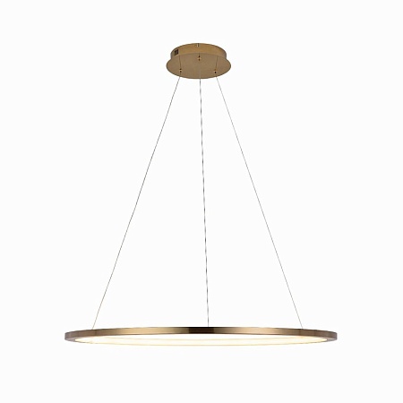 10014L Подвесной светильник LOFT IT Ring - фото