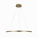10014L Подвесной светильник LOFT IT Ring - фото