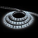 Светодиодная LED лента Feron LS604, 60SMD(2835)/m 4.8W/m 12V IP65 5m, 6500К - фото