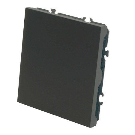 Заглушка (механизм), серия Эмили, черный уголь, soft touch, RST00-5116-05 - фото