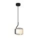 Подвесной светильник Freya FR5541PL-L5B - фото