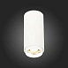 Светильник потолочный Zoom Белый LED 1*10W 4000K 1 000Lm Ra>80 15-60° IP20 D59xH130 170 ST600.542.10 - фото