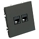 Розетка компьютерная 2-местная RJ-45 (механизм), STEKKER, серия Эмили, RST00-5111-05, черный уголь, soft touch - фото