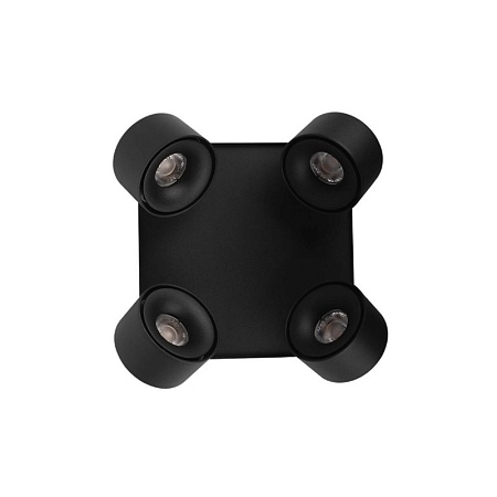 10326 Black Накладной светильник LOFT IT Case - фото