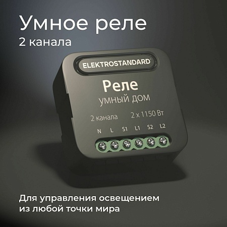 Умное двухканальное реле 76007/00 Elektrostandard - фото