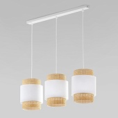 Подвесной акцентный светильник TK Lighting 6531