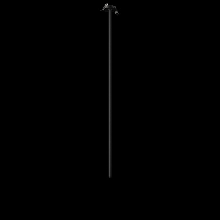 10359/1000 Black Потолочный светильник LOFT IT Cane - фото