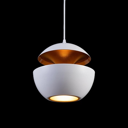 LOFT2213-A Подвесной светильник LOFT IT Apple - фото