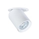 Точечный встраиваемый светильник Arte Lamp SITULA A3731PL-1WH - фото