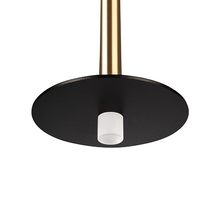 10358/830 Disk AB Подвесной светильник LOFT IT Reed - фото