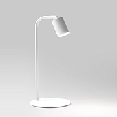 Настольный светильник TK Lighting 5490