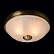 Потолочный светильник MW-Light Ангел 295013402 - фото