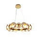Подвесная люстра Favourite 4641-16P - фото