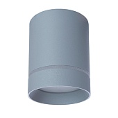 Точечный накладной светильник Arte Lamp ELLE A1909PL-1GY