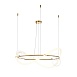 Подвесной светильник Maytoni Oasis MOD289PL-L53BS3K - фото
