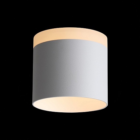 Светильник потолочный Белый LED 1*12W 3000K 936Lm Ra>80 120° IP20 D100xH90 170-240V ST102.502.12 - фото