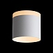 Светильник потолочный Белый LED 1*12W 3000K 936Lm Ra>80 120° IP20 D100xH90 170-240V ST102.502.12 - фото