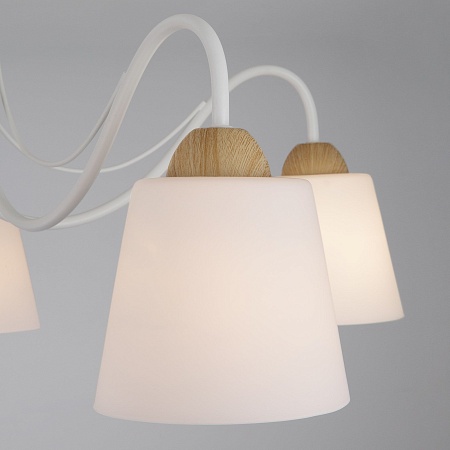 Потолочный светильник Eurosvet 70062/5 белый - фото