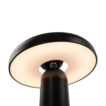 Аккумуляторный светильник Freya FR6109TL-L4B - фото